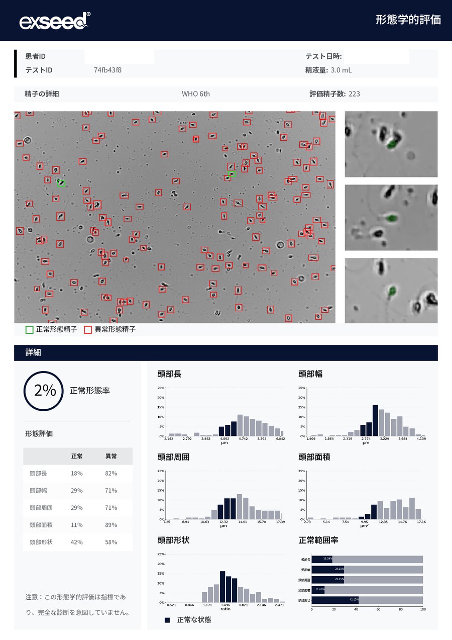 形態学的評価PDFのサムネイル